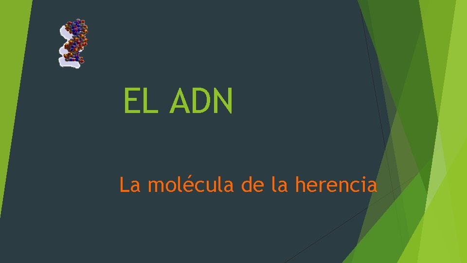 EL ADN La molécula de la herencia 
