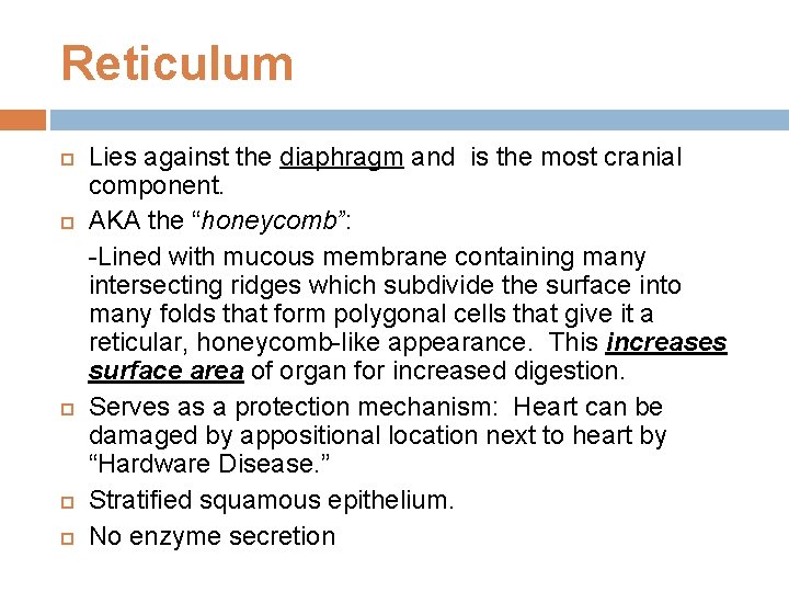 Reticulum Lies against the diaphragm and is the most cranial component. AKA the “honeycomb”: