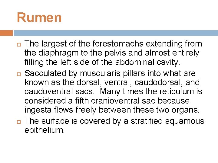 Rumen The largest of the forestomachs extending from the diaphragm to the pelvis and