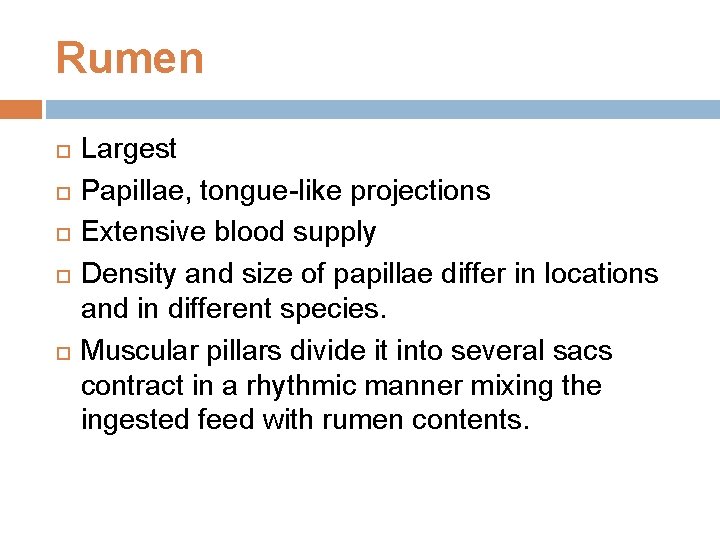 Rumen Largest Papillae, tongue-like projections Extensive blood supply Density and size of papillae differ