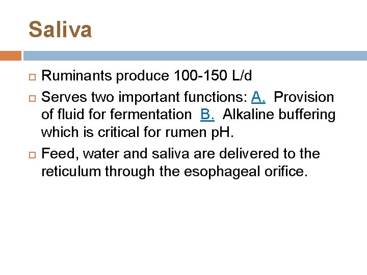 Saliva Ruminants produce 100 -150 L/d Serves two important functions: A. Provision of fluid