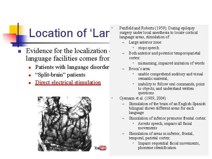  • Penfield and Roberts (1959): During epilepsy surgery under local anesthesia to locate