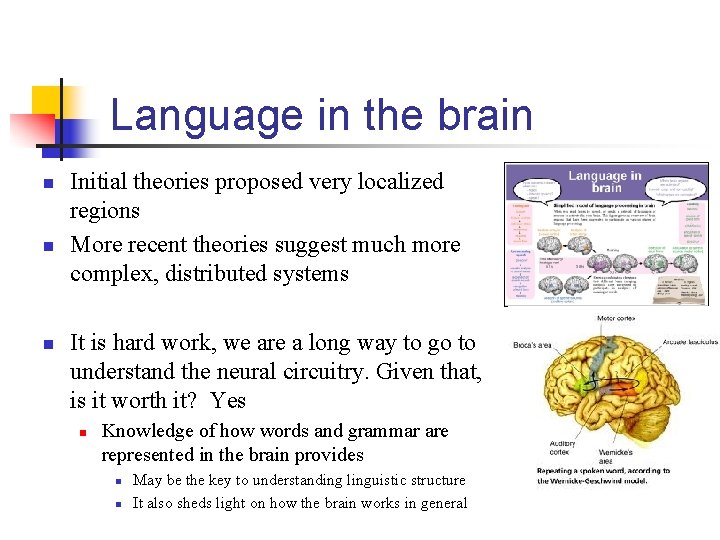 Language in the brain n Initial theories proposed very localized regions More recent theories