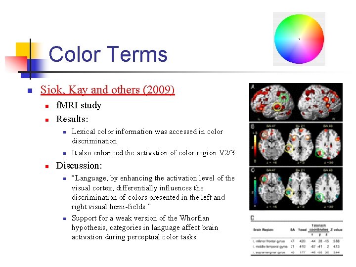 Color Terms n Siok, Kay and others (2009) n n f. MRI study Results: