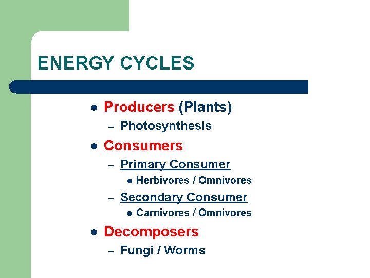 ENERGY CYCLES l Producers (Plants) – l Photosynthesis Consumers – Primary Consumer l –