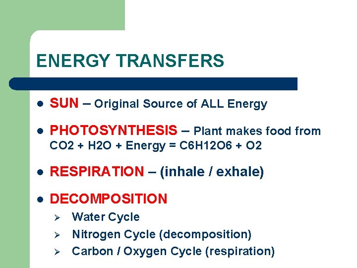 ENERGY TRANSFERS l SUN – Original Source of ALL Energy l PHOTOSYNTHESIS – Plant