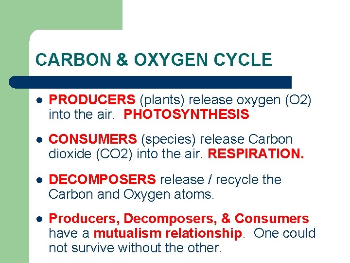 CARBON & OXYGEN CYCLE l PRODUCERS (plants) release oxygen (O 2) into the air.