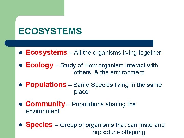 ECOSYSTEMS l Ecosystems – All the organisms living together l Ecology – Study of