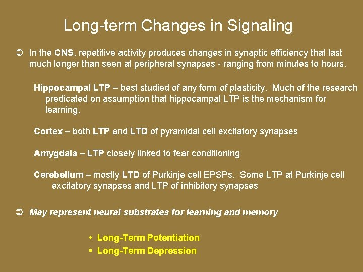 Long-term Changes in Signaling In the CNS, repetitive activity produces changes in synaptic efficiency