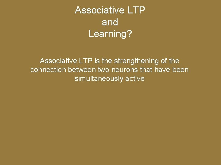 Associative LTP and Learning? Associative LTP is the strengthening of the connection between two