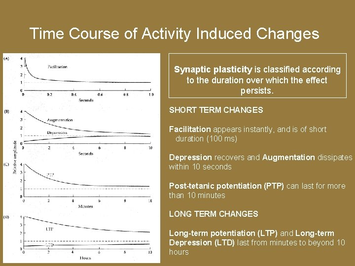 Time Course of Activity Induced Changes Synaptic plasticity is classified according to the duration
