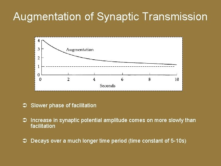 Augmentation of Synaptic Transmission Slower phase of facilitation Increase in synaptic potential amplitude comes