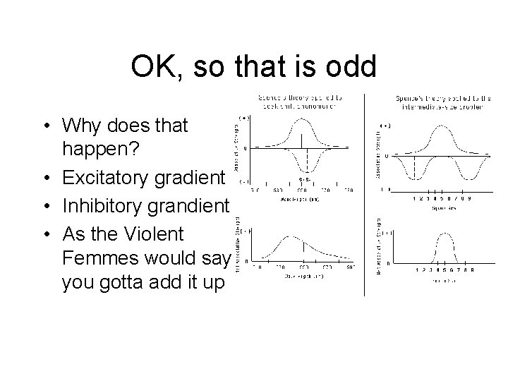 OK, so that is odd • Why does that happen? • Excitatory gradient •