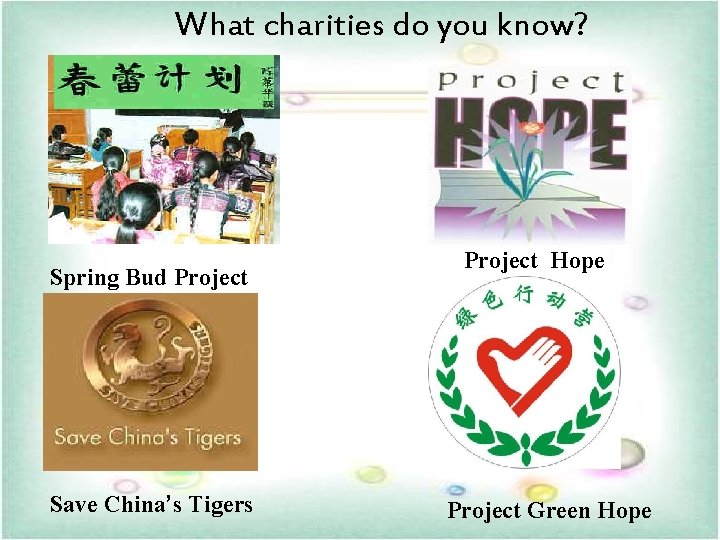 What charities do you know? Spring Bud Project Save China’s Tigers Project Hope Project What charities do you know? Spring Bud Project Save China’s Tigers Project Hope Project