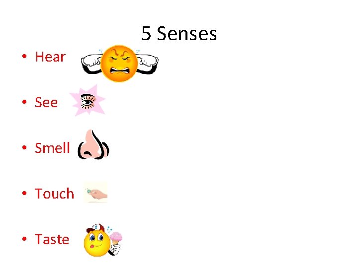  • Hear • See • Smell • Touch • Taste 5 Senses 