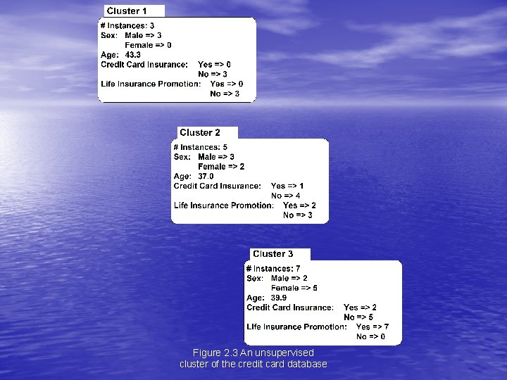 Figure 2. 3 An unsupervised cluster of the credit card database 