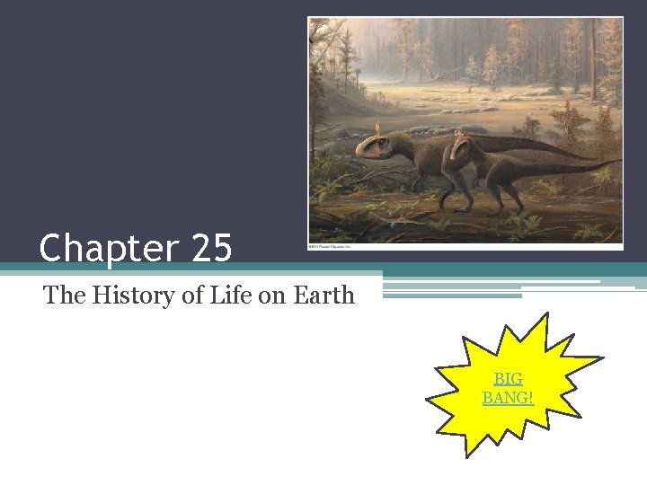Chapter 25 The History of Life on Earth BIG BANG! 