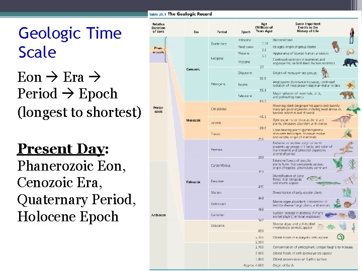 Geologic Time Scale Eon Era Period Epoch (longest to shortest) Present Day: Phanerozoic Eon,