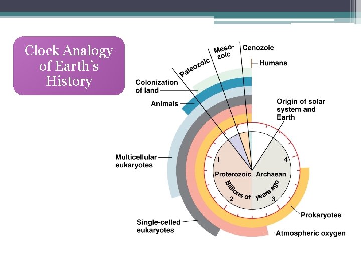 Clock Analogy of Earth’s History 