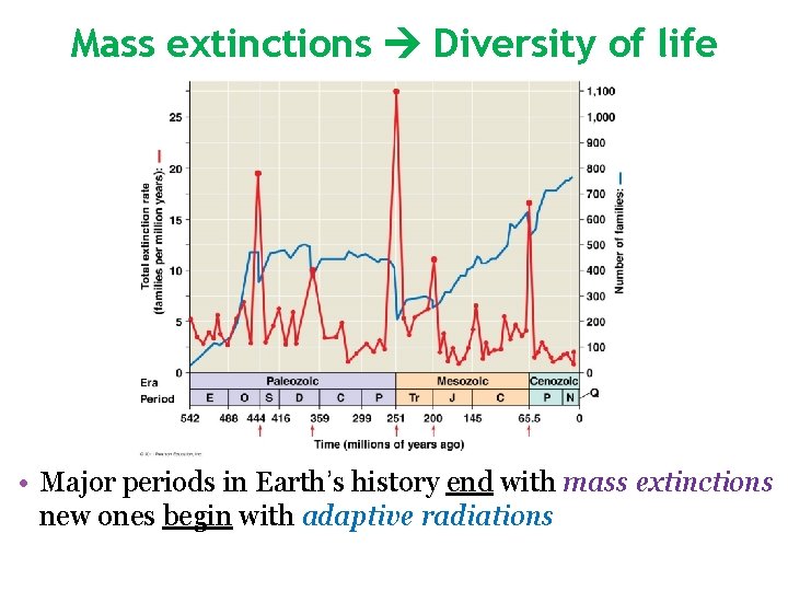 Mass extinctions Diversity of life • Major periods in Earth’s history end with mass