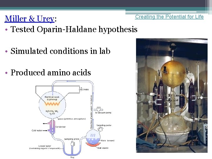 Creating the Potential for Life Miller & Urey: • Tested Oparin-Haldane hypothesis • Simulated