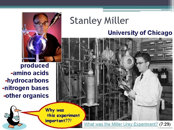 Stanley Miller University of Chicago produced -amino acids -hydrocarbons -nitrogen bases -other organics Why