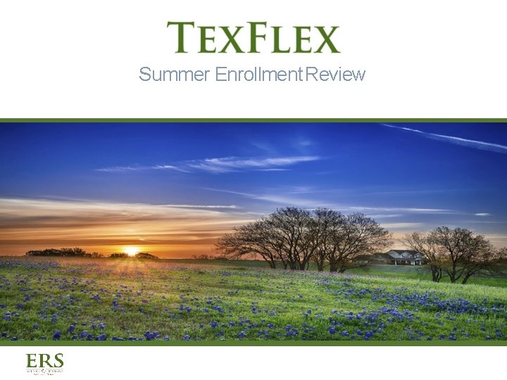 Summer Enrollment Review 