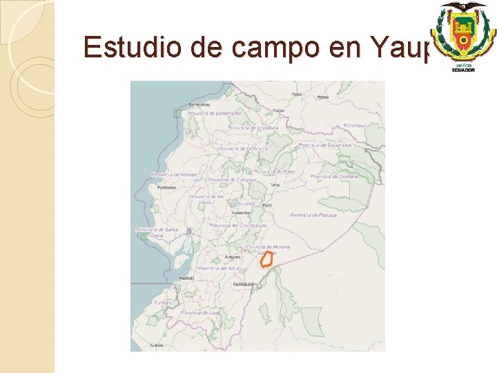 Estudio de campo en Yaupi 