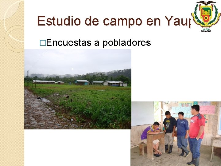 Estudio de campo en Yaupi �Encuestas a pobladores 