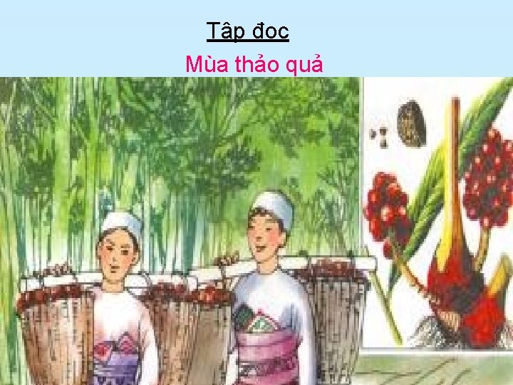 Tập đọc Mùa thảo quả 