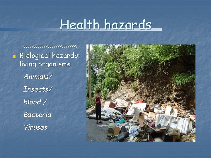 Health hazards <<<<<<<<<<<<<< n Biological hazards: living organisms Animals/ Insects/ blood / Bacteria Viruses