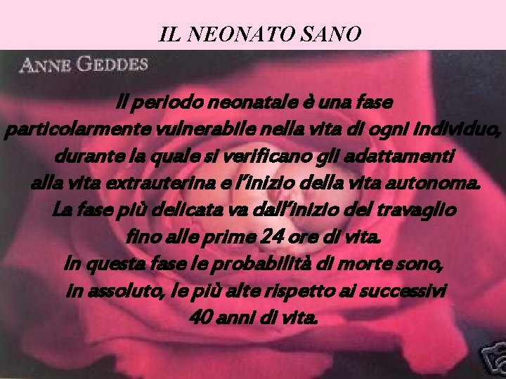 IL NEONATO SANO Il periodo neonatale è una fase particolarmente vulnerabile nella vita di