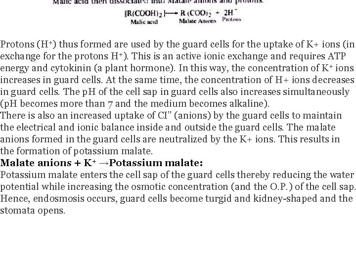  Protons (H+) thus formed are used by the guard cells for the uptake