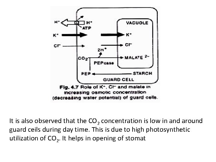 It is also observed that the CO 2 concentration is low in and around