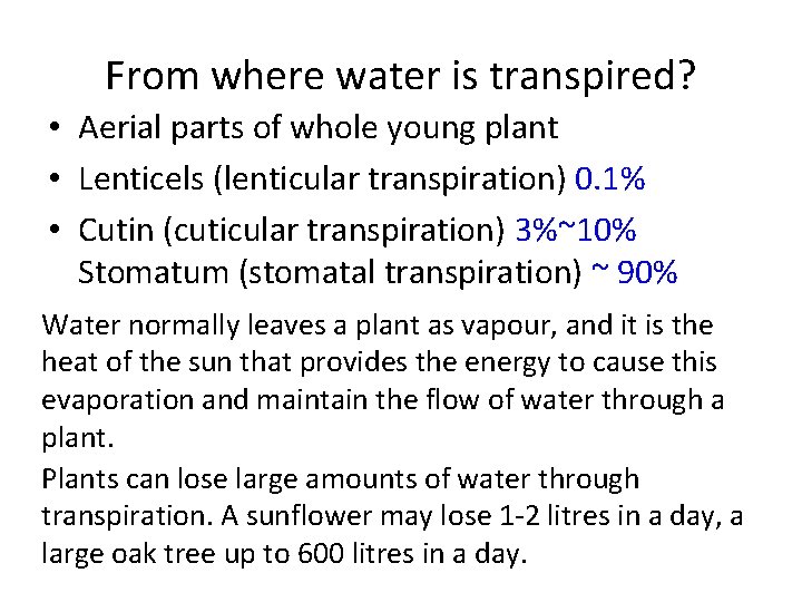 From where water is transpired? • Aerial parts of whole young plant • Lenticels