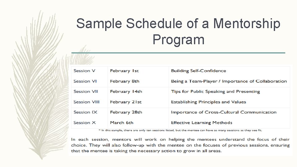 Sample Schedule of a Mentorship Program 