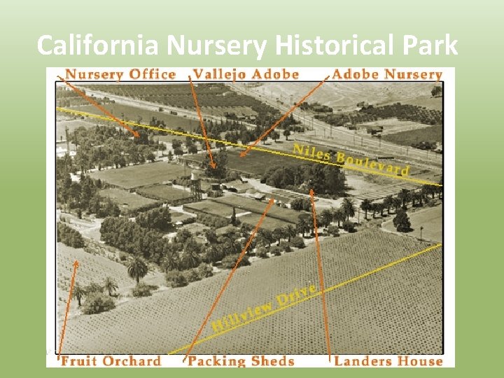 California Nursery Historical Park 