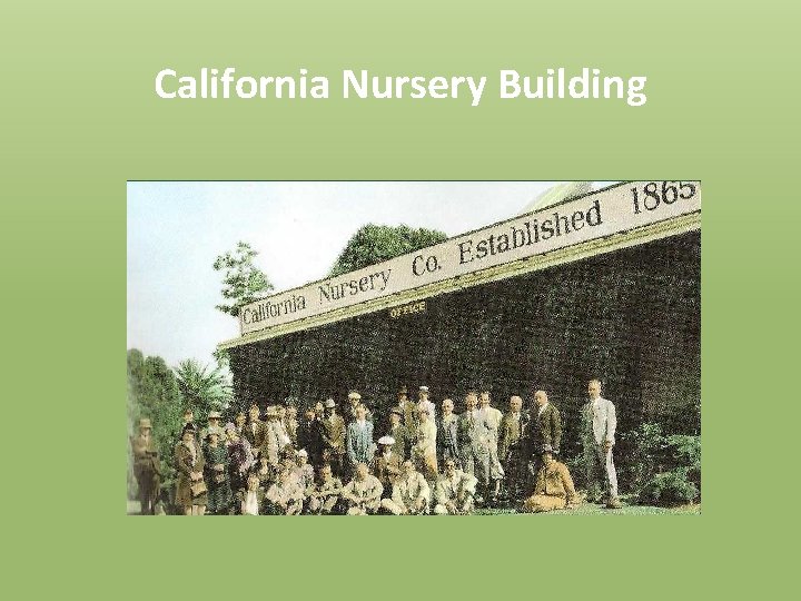 California Nursery Building 