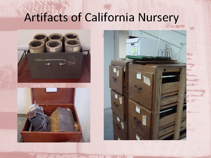 Artifacts of California Nursery 