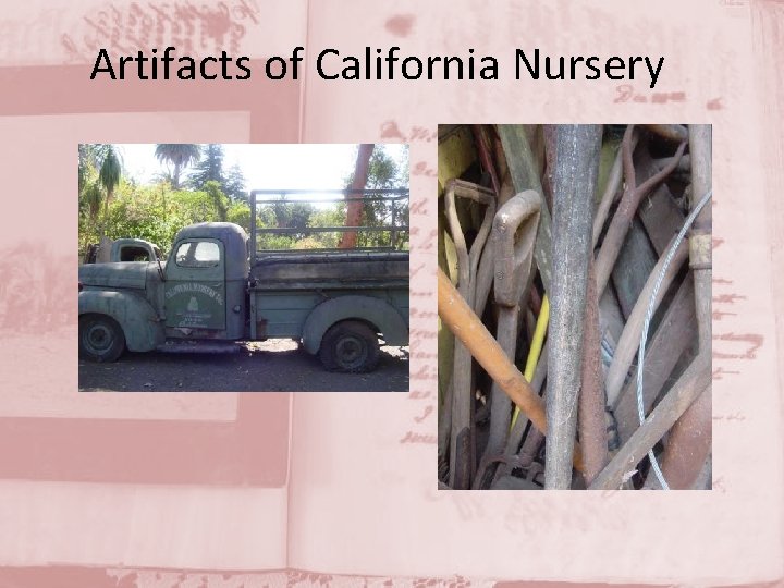 Artifacts of California Nursery 