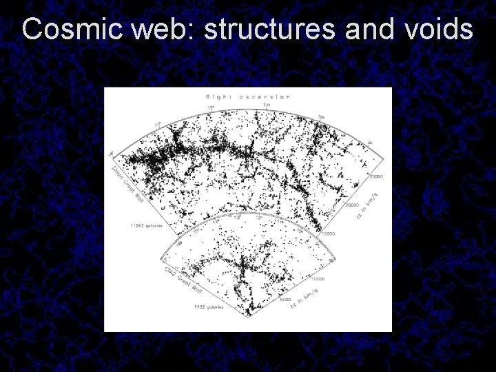 Cosmic web: structures and voids 