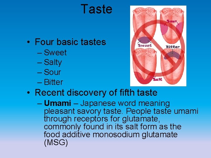 Taste • Four basic tastes – Sweet – Salty – Sour – Bitter •