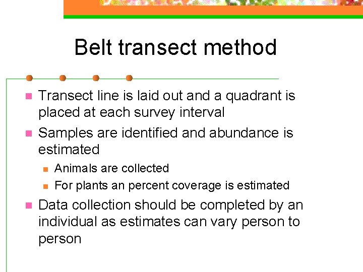 belt transect