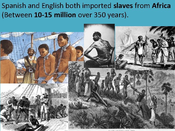 Spanish and English both imported slaves from Africa (Between 10 -15 million over 350