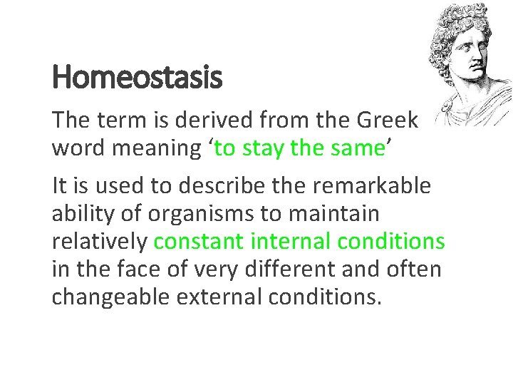 Meaning homeostasis Homeostasis Definition