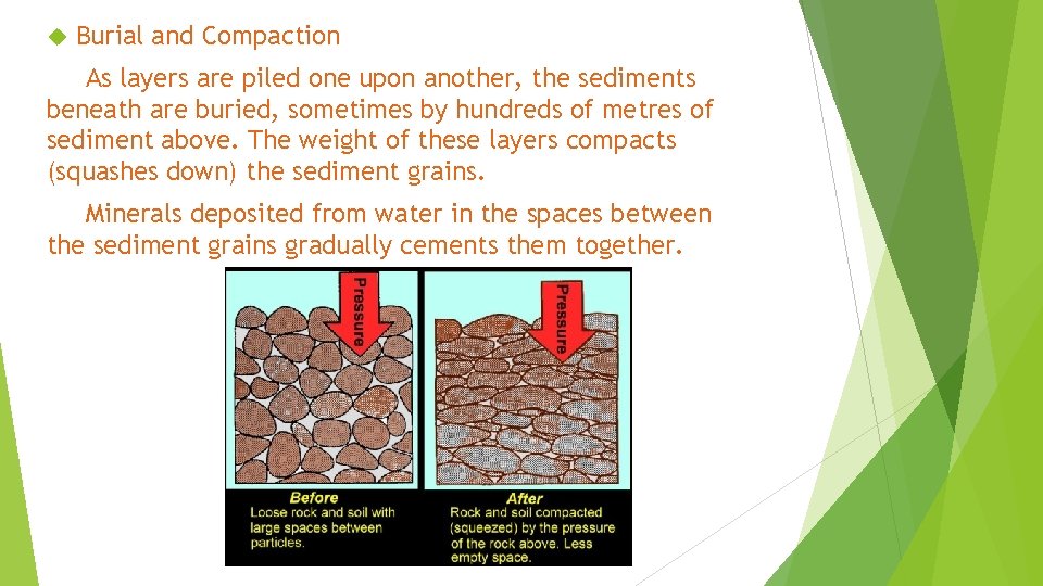  Burial and Compaction As layers are piled one upon another, the sediments beneath