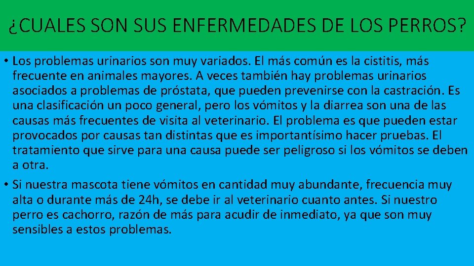 ¿CUALES SON SUS ENFERMEDADES DE LOS PERROS? • Los problemas urinarios son muy variados. ¿CUALES SON SUS ENFERMEDADES DE LOS PERROS? • Los problemas urinarios son muy variados.