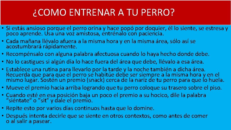¿COMO ENTRENAR A TU PERRO? • Si estás ansioso porque el perro orina ¿COMO ENTRENAR A TU PERRO? • Si estás ansioso porque el perro orina