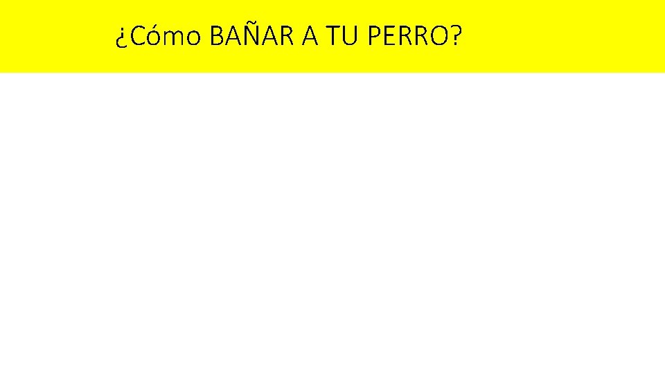¿Cómo BAÑAR A TU PERRO? ¿Cómo BAÑAR A TU PERRO?