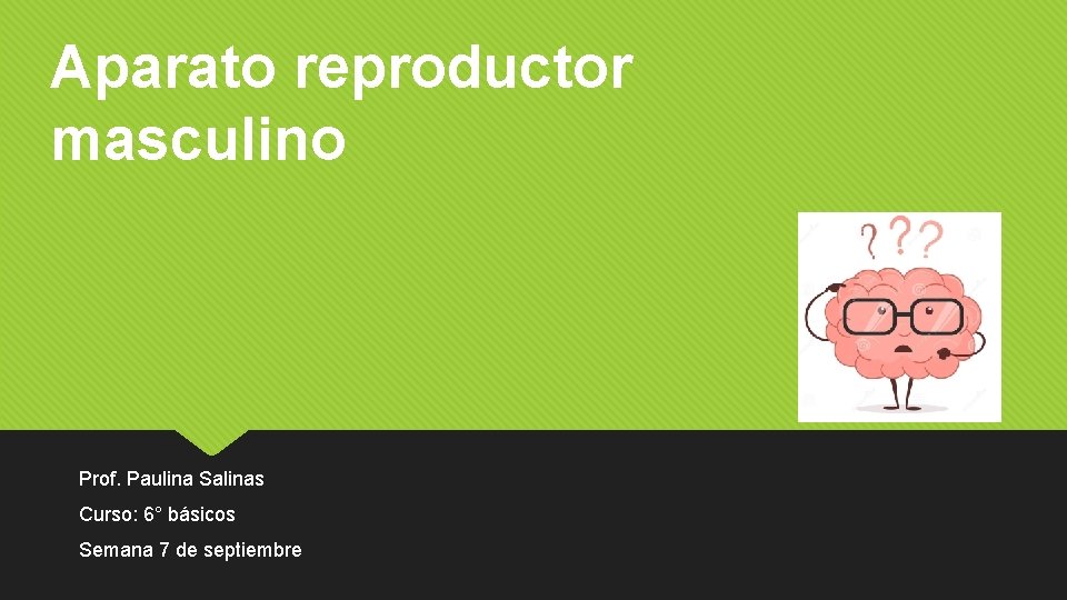 Aparato reproductor masculino Prof. Paulina Salinas Curso: 6° básicos Semana 7 de septiembre 
